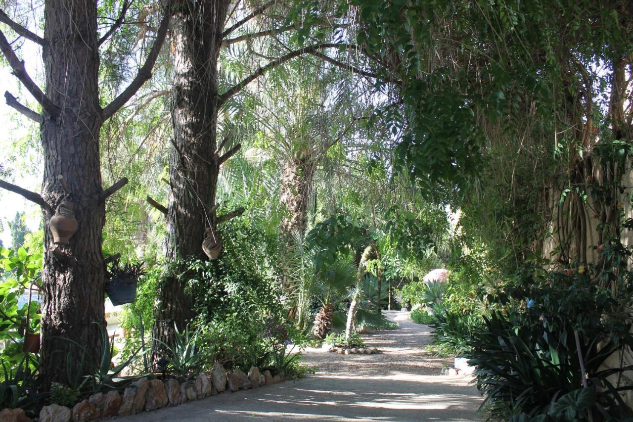 Casa Rural Complex Masia Del Tremendo Y Agroturismo Camarles Exterior foto